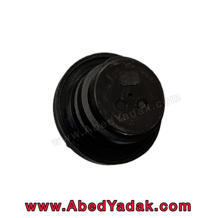 درب روغن موتور آریو Z300